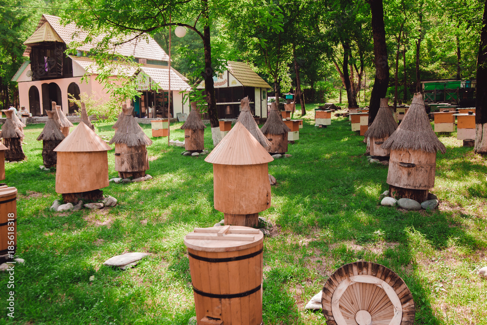 Beekeeping concept. Hives in an apiary with bees Beekeeping concept. Hives in an apiary with bees