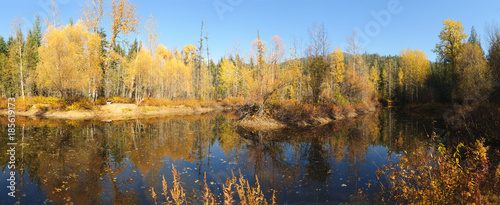 Fall colors around Moose Lake in Northern Idaho