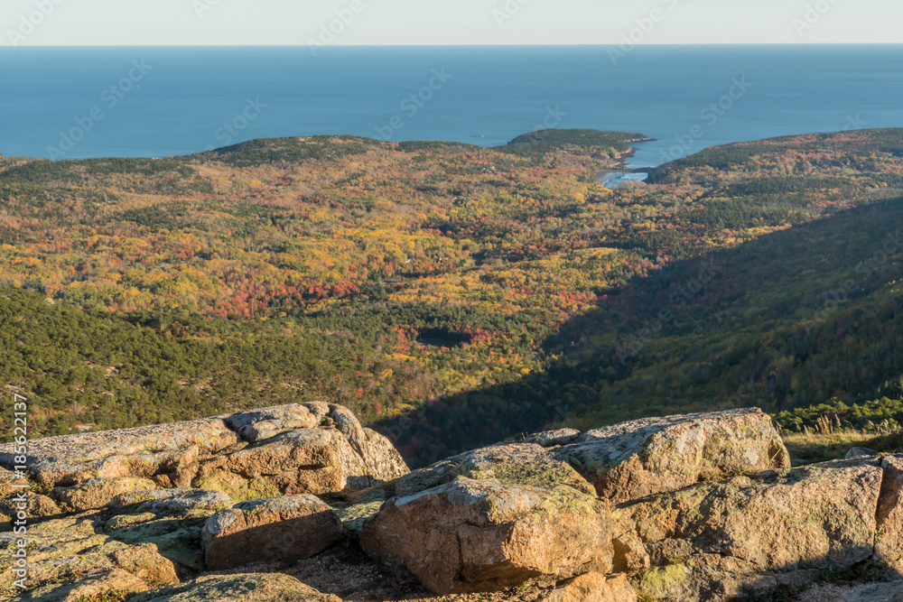 Overlook of the Autumn Forest From Cadillac Mountain