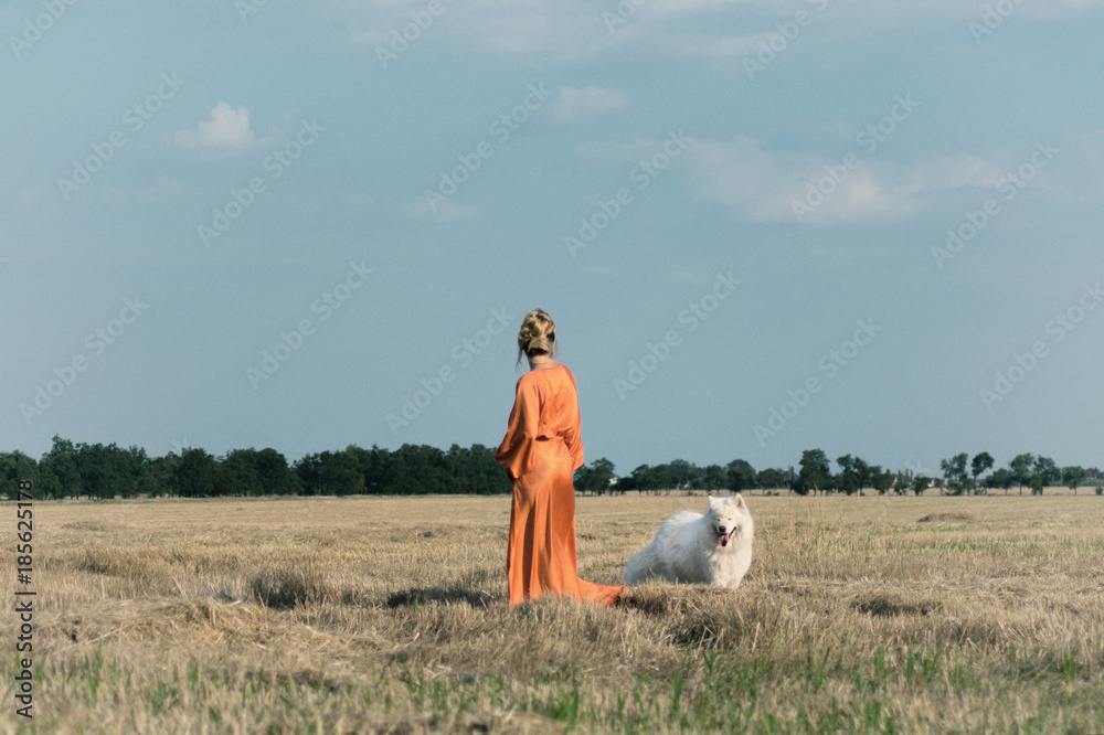 Obraz premium Beautiful woman in a long orange dress with white dog in the field. Samoyed