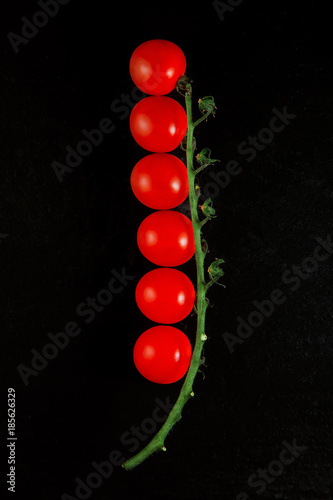 Fresh, ripe tomatoes in a row on a stick, studio shoot can be used as background photo