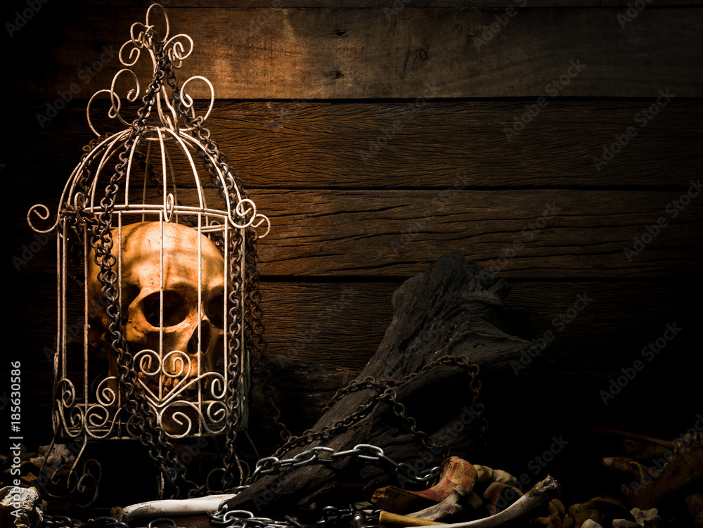 Still life art image of humen skull in white cage surrounding with pile of bones and metal chain and old wood on wooden table and background with dim light for Halloween night