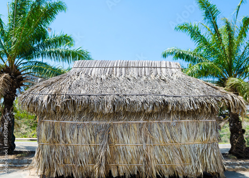 thatched hut