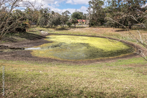 retention pond with algae in Florida