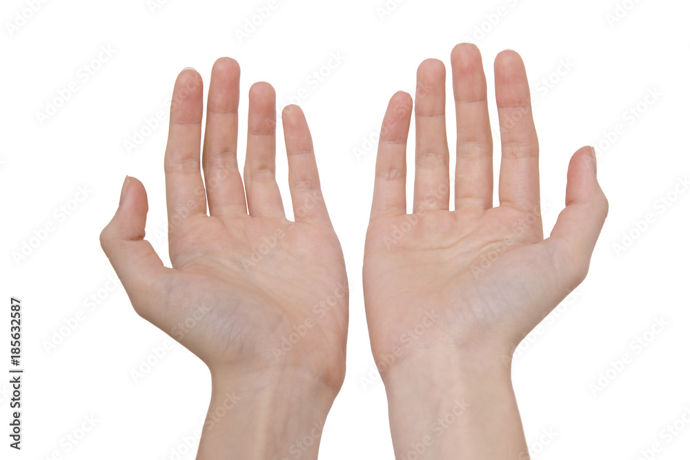 Two open empty hands with palms up, isolated on white background Two open empty hands with palms up, isolated on white background