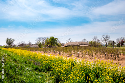 Haemieupseong Fortress in spring - Seosan, Chungcheongnam-do, South Korea. photo