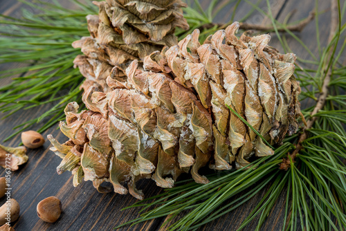 Gummy tar fir-cones with conifer needle branches and fir nuts photo