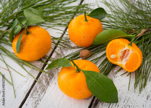 Ripe orange clementine tangerines with green leaves and coniferous fir-needles