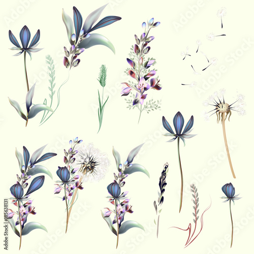 Collection of vector filed flowers