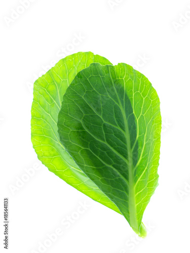 Chinese kale leaf