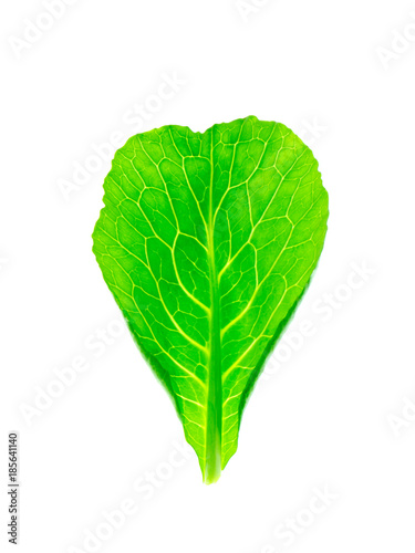 Chinese kale leaf