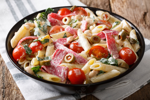 Italian penne pasta with sausage, cheese, and vegetables close-up. horizontal