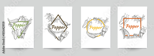 Set of template for branding, cover package, identity, banner, promote, card, label with chili peppers in retro vintage hand drawn, sketches, engraved style. Modern background. Vector illustration.