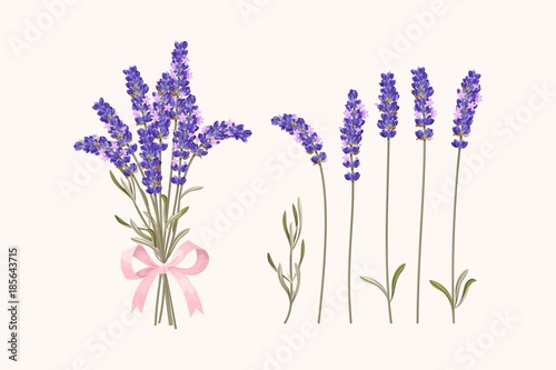 Set of lavender flowers