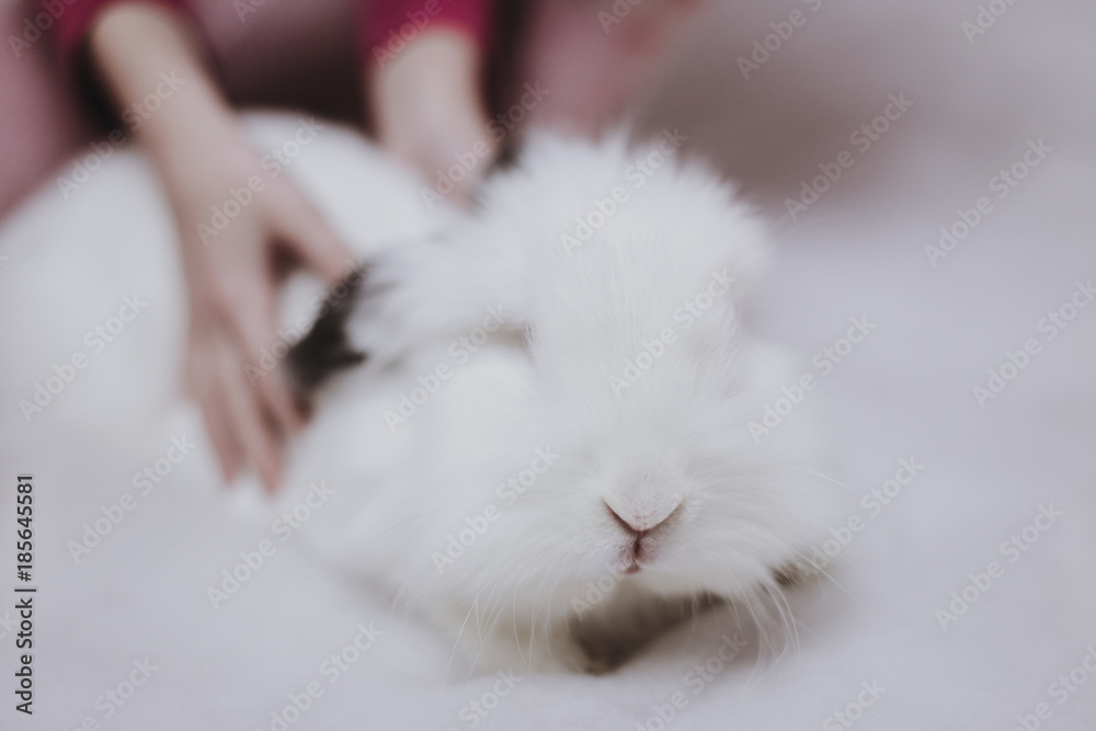 White fluffy rabbit with a garland White fluffy rabbit with a garland