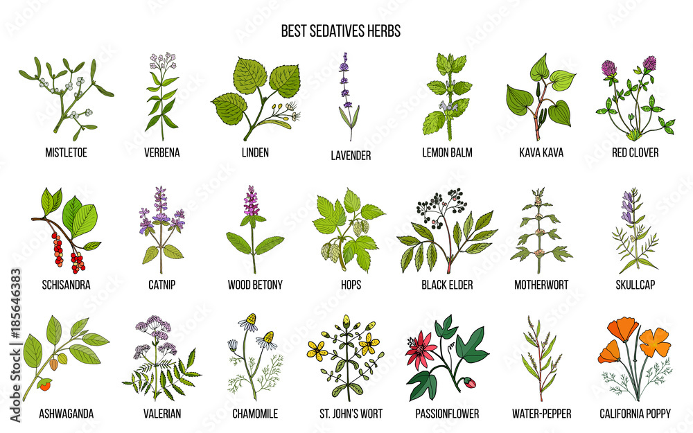 Obraz premium Best sedatives herbs