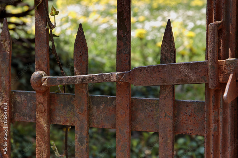 Fototapeta premium portail en fer rouillé