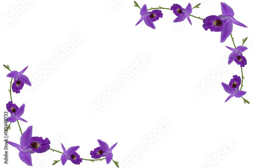 Orchids border with clipping path on white background