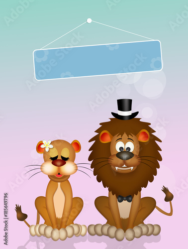 illustration of lions in love