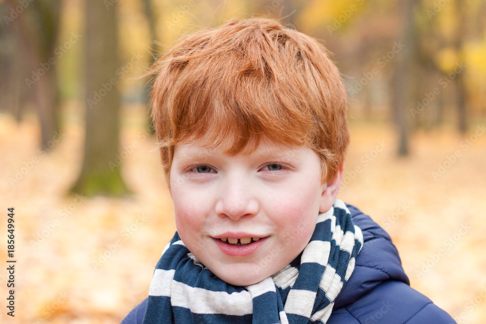 Red-haired boy in a striped scarf in an autumn park laughs, leaf fall and autumn mood
Red-haired boy in a striped scarf in an autumn park laughs, leaf fall and autumn mood