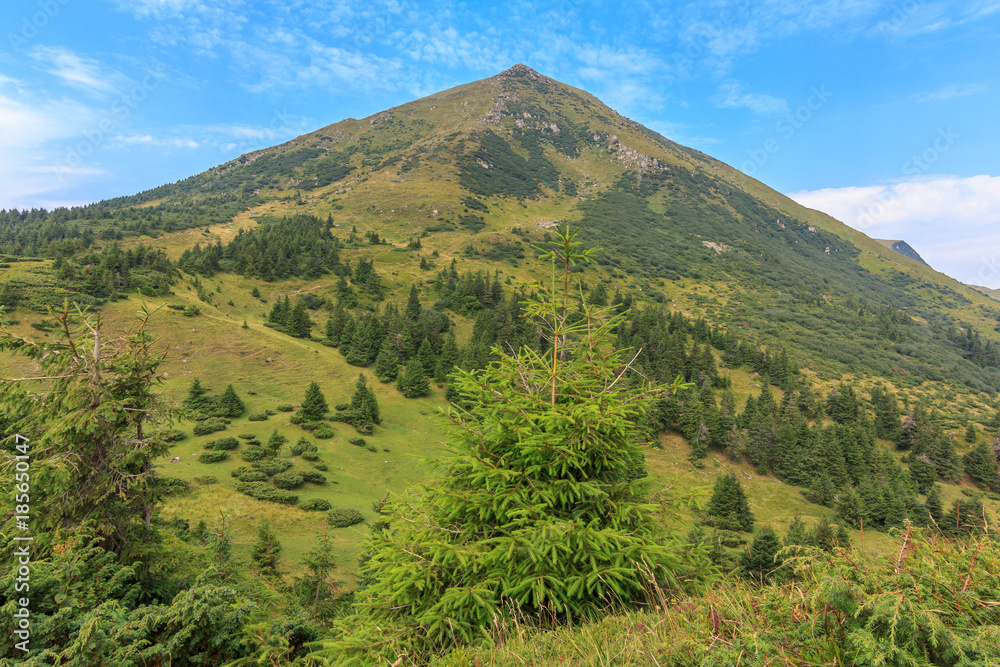 Mount Petros Carpathians Ukraine