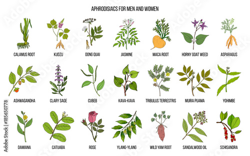 Best herbal aphrodisiacs