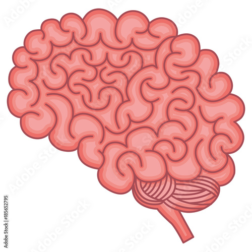 brain storming isolated icon vector illustration design