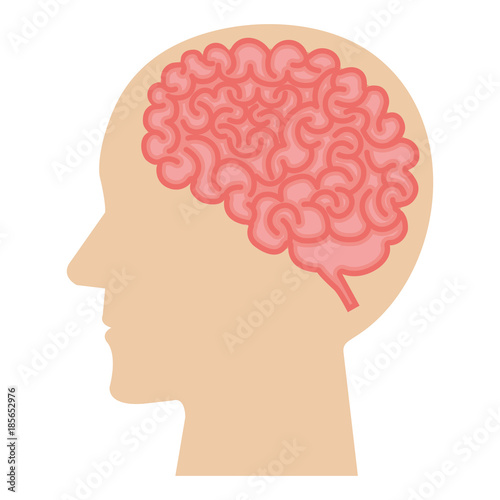 brain storming with human profile vector illustration design