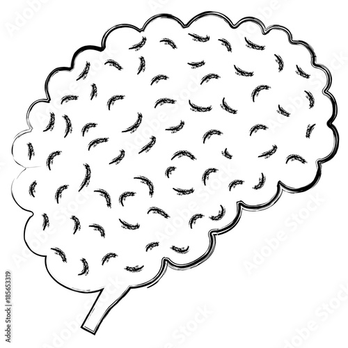 brain storming isolated icon vector illustration design