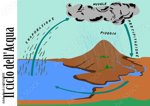 Il ciclo dell'acqua