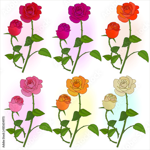 Roses design elements 