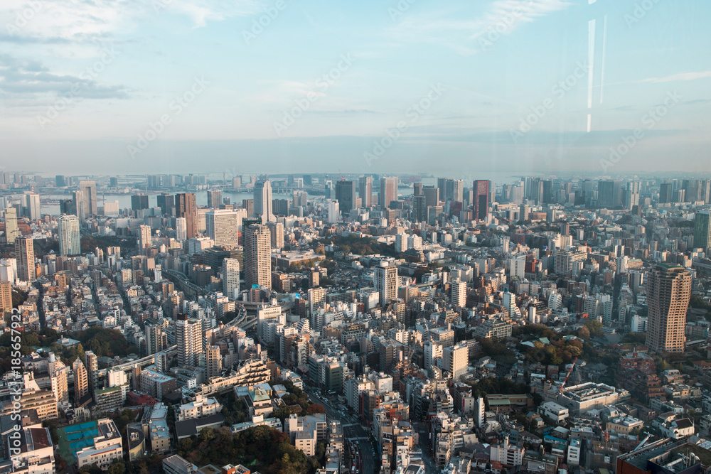 Tokyo skyline view from above during day time.