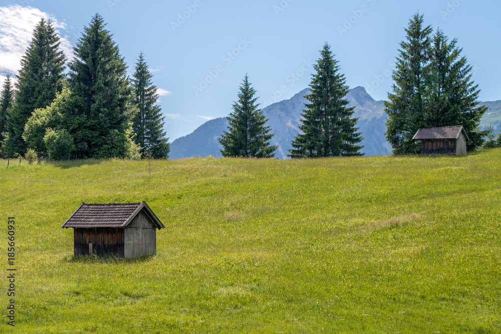 huts on a meadow in front of a mountain huts on a meadow in front of a mountain