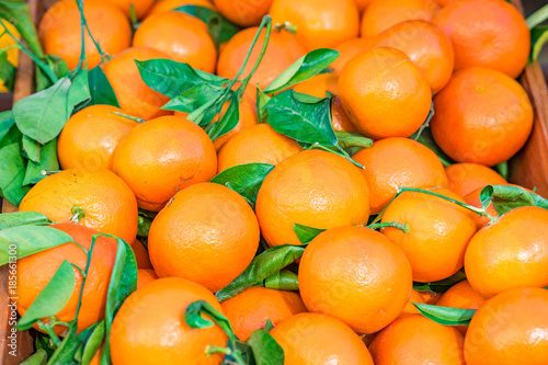 Viele gesunde Orangen mit Blättern
