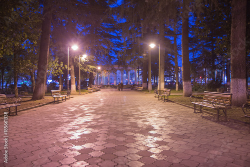 Wood Benches and Park Alley. Bench under a lamp In the park at night