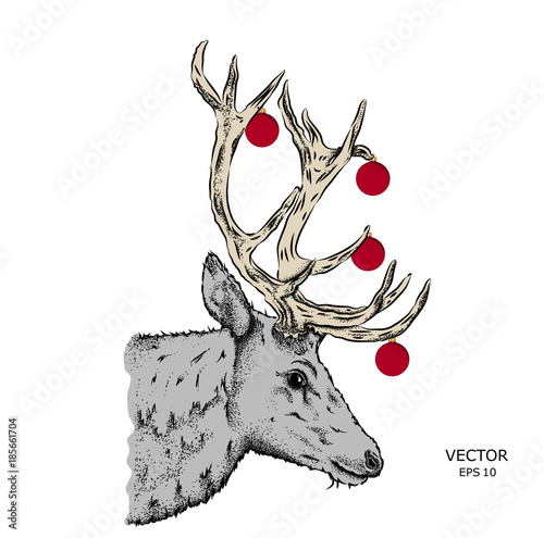 Portrait of a deer. Can be used for printing on T-shirts, flyers and stuff. Vector illustration