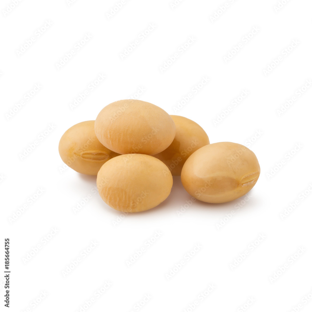 Close up Soybean isolated on a white background Close up Soybean isolated on a white background