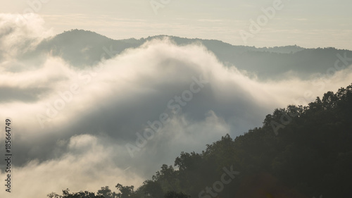 Misty landscape with light morning through