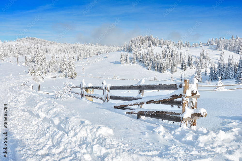 Winter in Transylvania