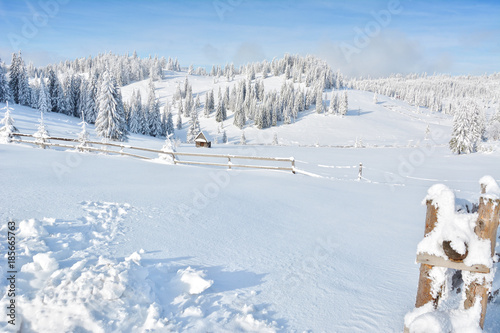 Winter in Transylvania