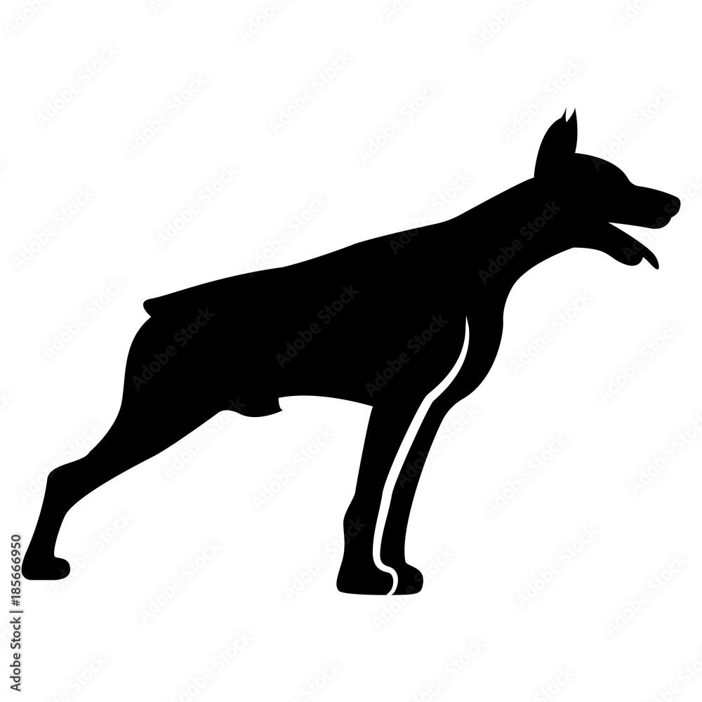 Vector image of dog silhouette of Doberman breed on white background