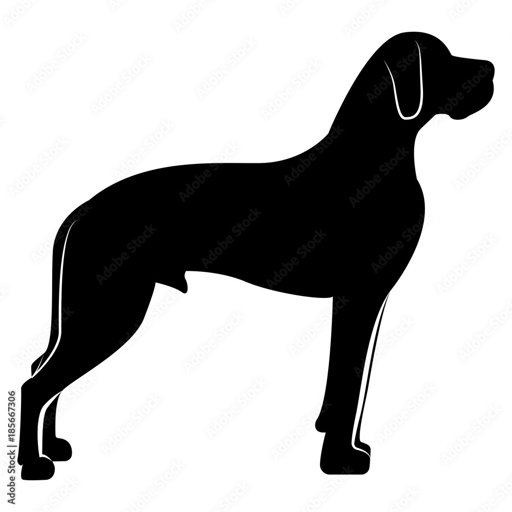 Vector image of a dog silhouette of a breed royal dog on a white background