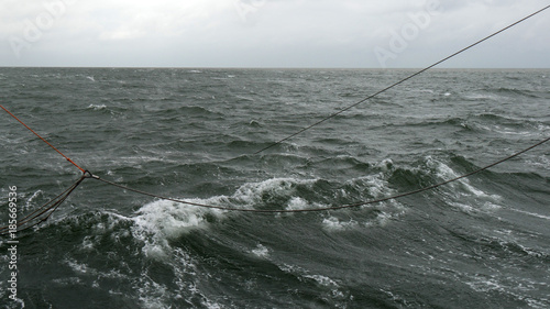 Pesca a strascico nel mare di Wadden