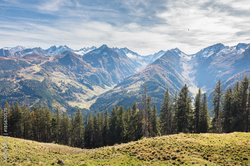 Fototapeta premium Wald und Gebirge
