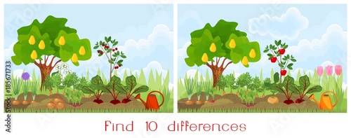 Find ten differences visual pictures. A game for children. Garden in the summer