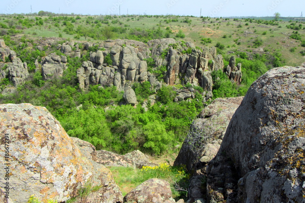 The landscape of the canyon Aktovo, many rocks. Ukraine