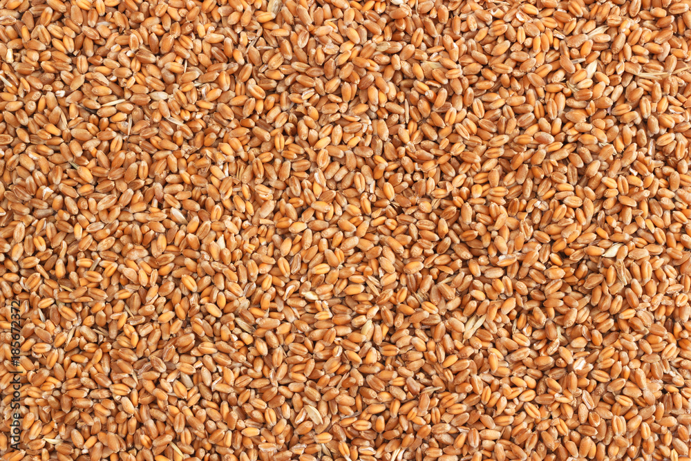 Raw wheat seeds background Raw wheat seeds background