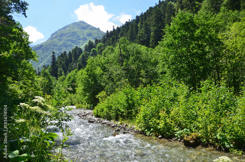 Obraz premium Россия, Западный Кавказ, горная река Имеретинка летом