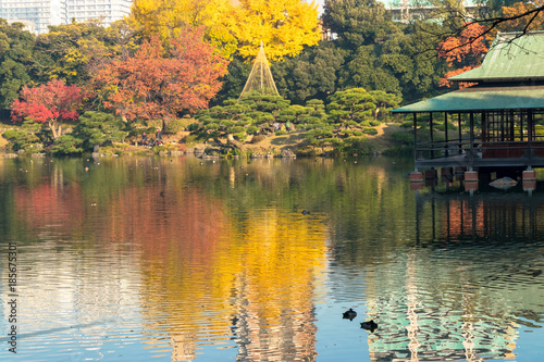 Autumn leaves of Kiyosumi garden / Kiyosumi garden is a metropolitan garden located in Kiyosumi, Koto Ward, Tokyo. In the garden with a pond, it is designated as Tokyo designated scenic spot.