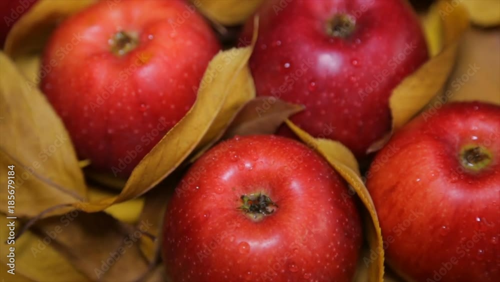Ripe red apples lie on yellow leaves Ripe red apples lie on yellow leaves